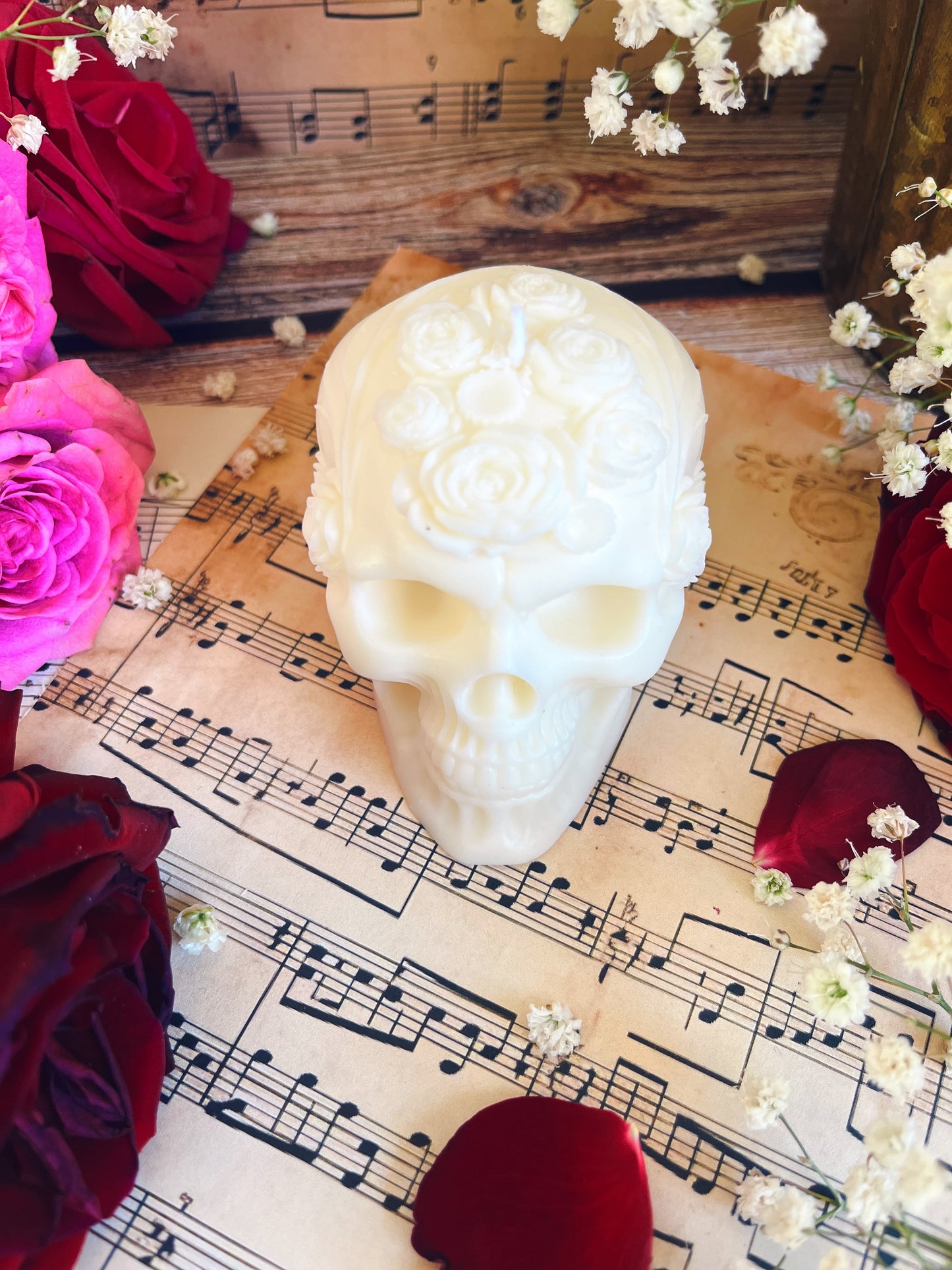 Skull - Eve
