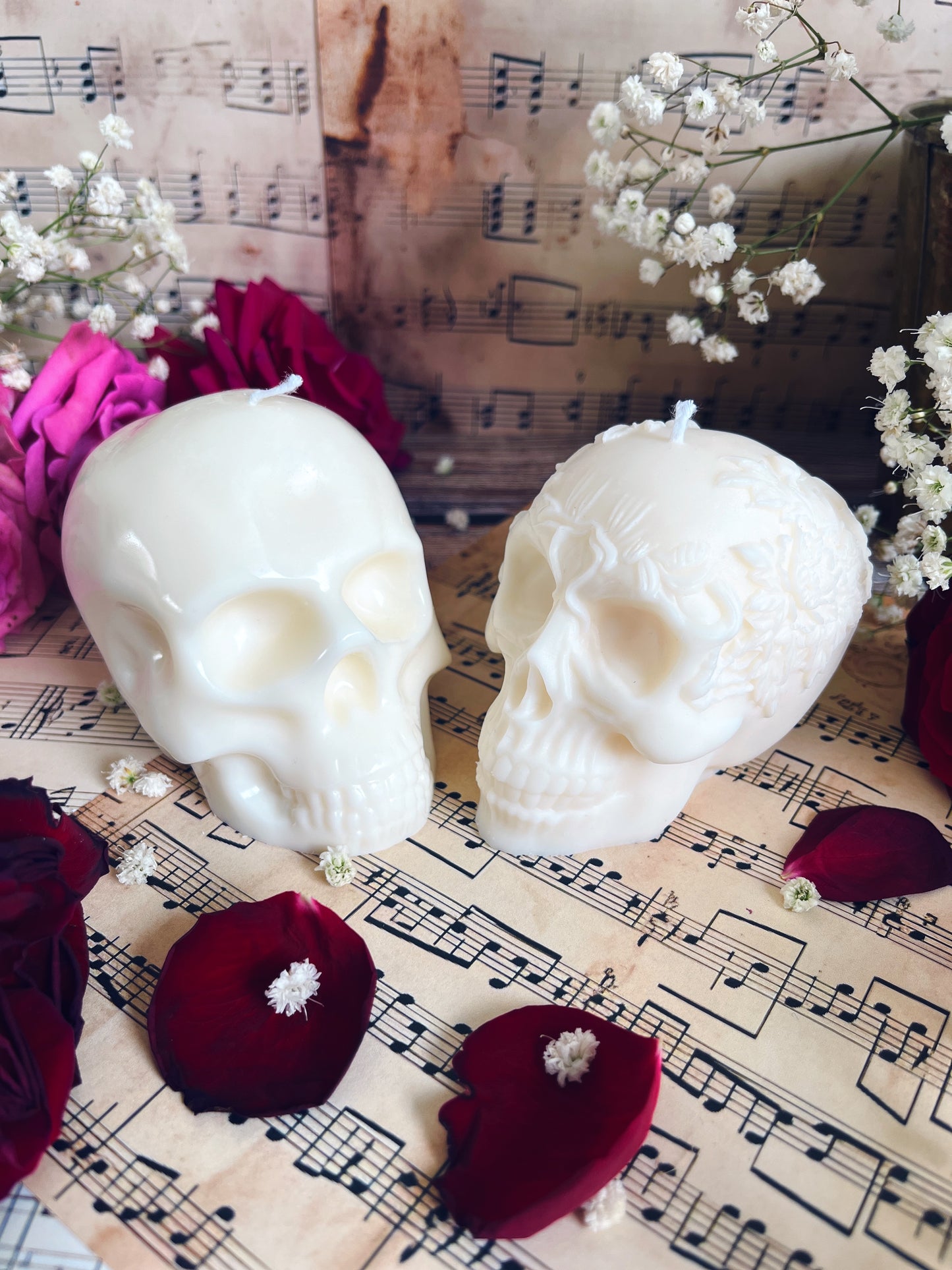 Skull - Belle