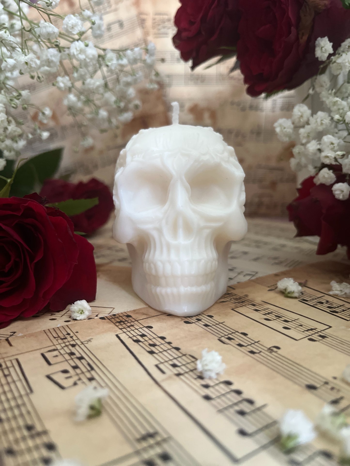 Skull - Belle