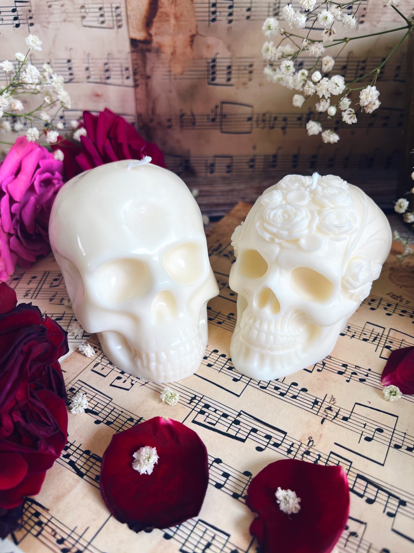 Skull - Adam