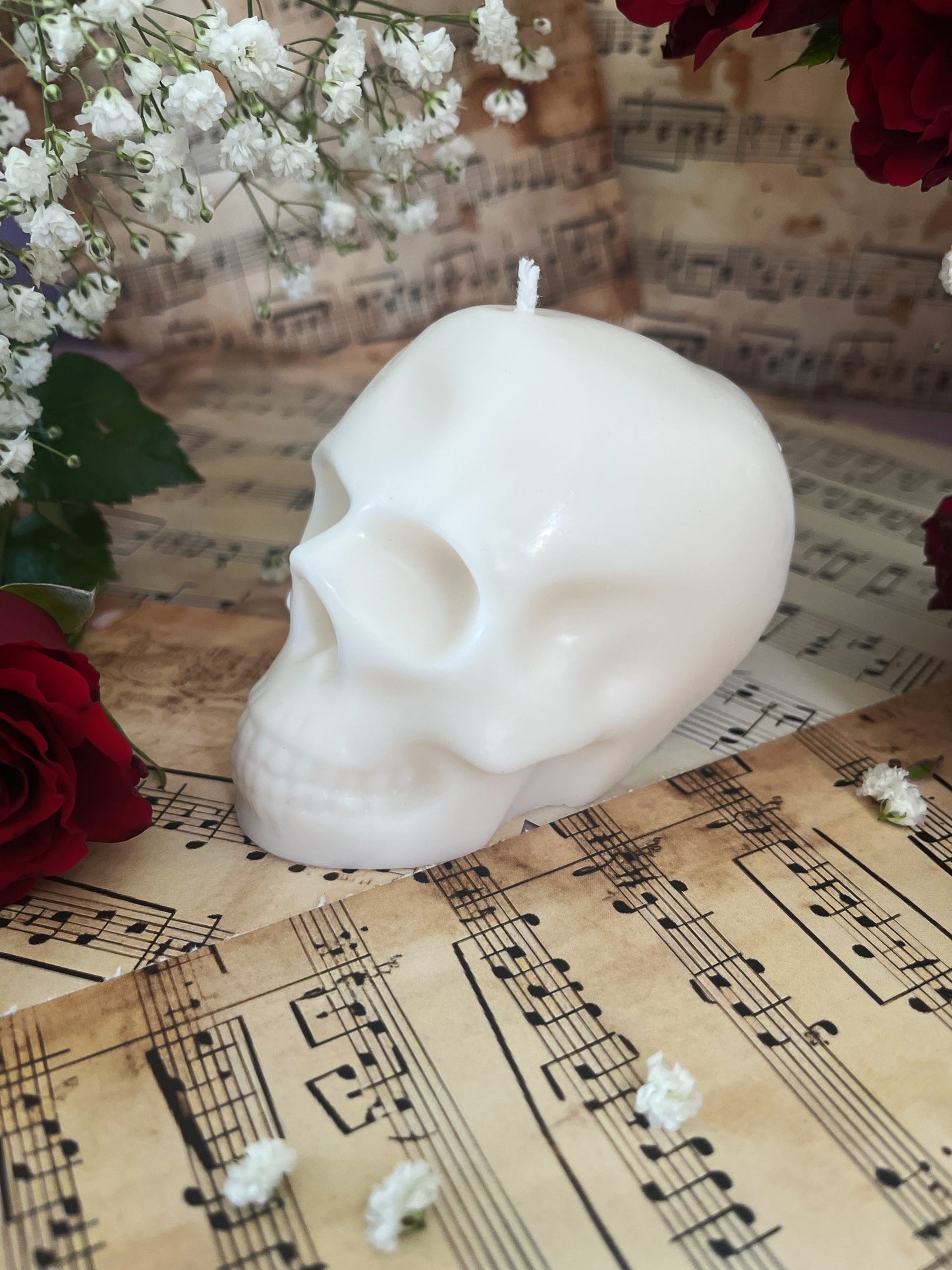 Skull - Adam